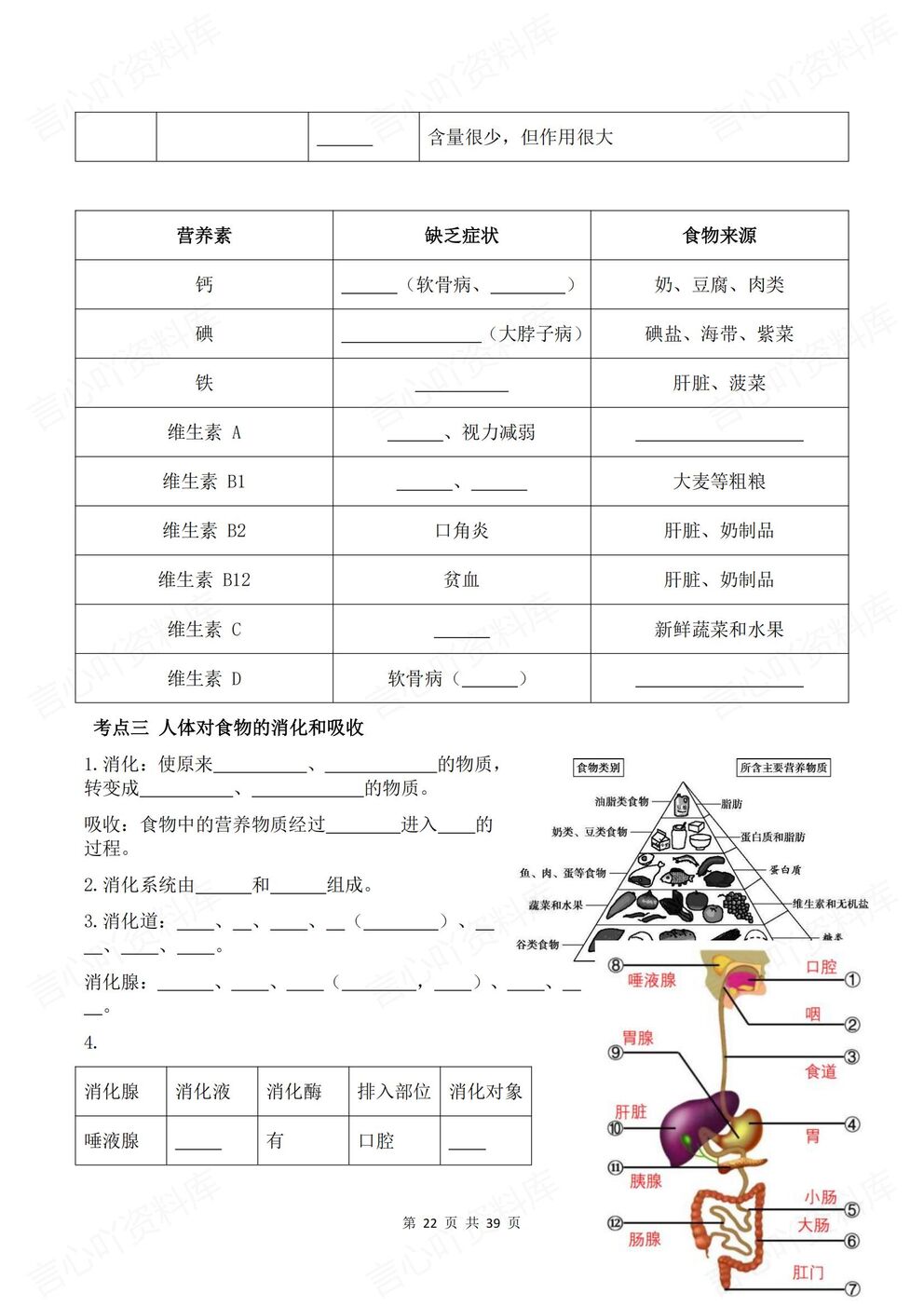 初中生物-八年级上册新教材初二上册章节背诵默写知识梳理苏科版插图初中生物3