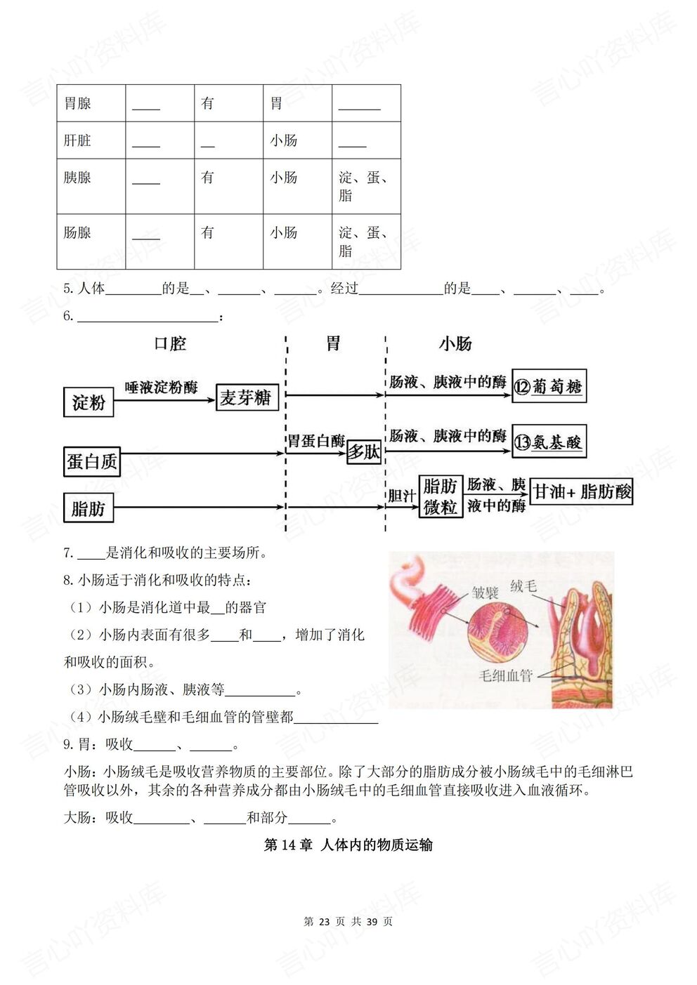 初中生物-八年级上册新教材初二上册章节背诵默写知识梳理苏科版插图初中生物4