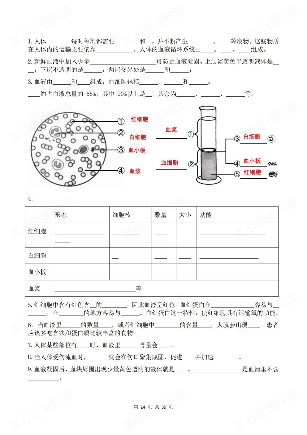 初中生物-八年级上册新教材初二上册章节背诵默写知识梳理苏科版插图初中生物5