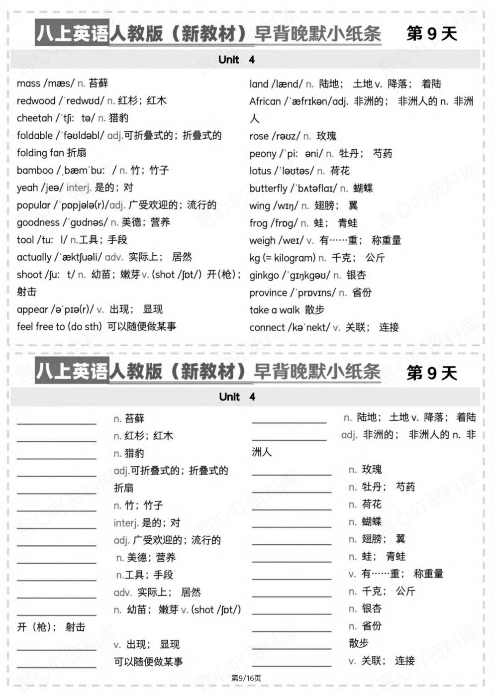 初中英语-八年级上册新教材初二上册单词背诵默写小纸条人教版插图初中英语5