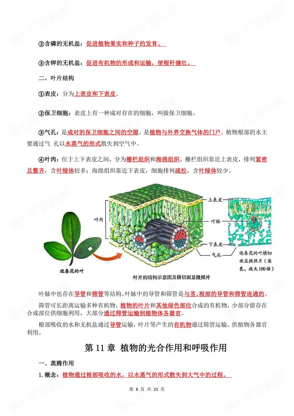 初中生物-七年级上新教材苏教初一上章节知识汇总梳理背诵/默写插图初中生物4