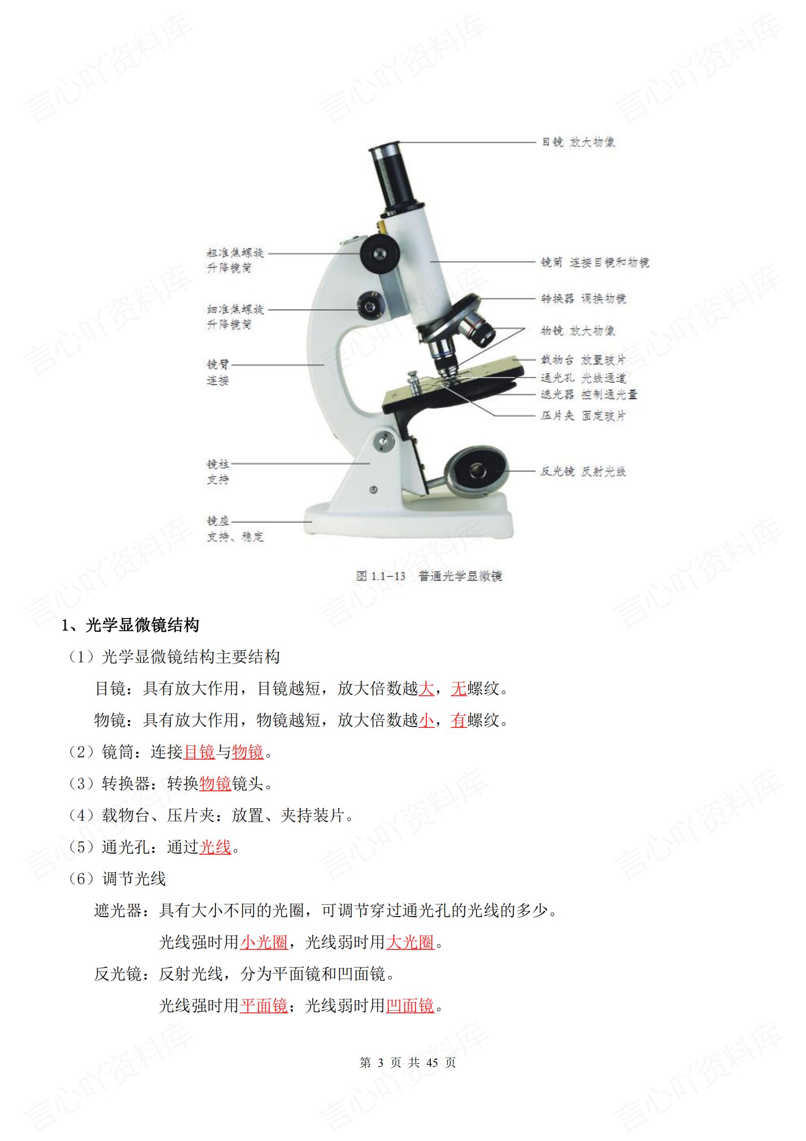 初中生物-七年级上新教材济南版初一上章节知识点归纳总结背诵/默写插图初中生物2