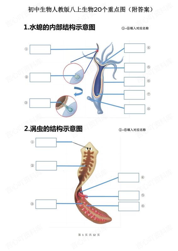 初中生物-八年级上人教版初二上册20个重点图例填空（全） - 言心吖资料库-言心吖资料库