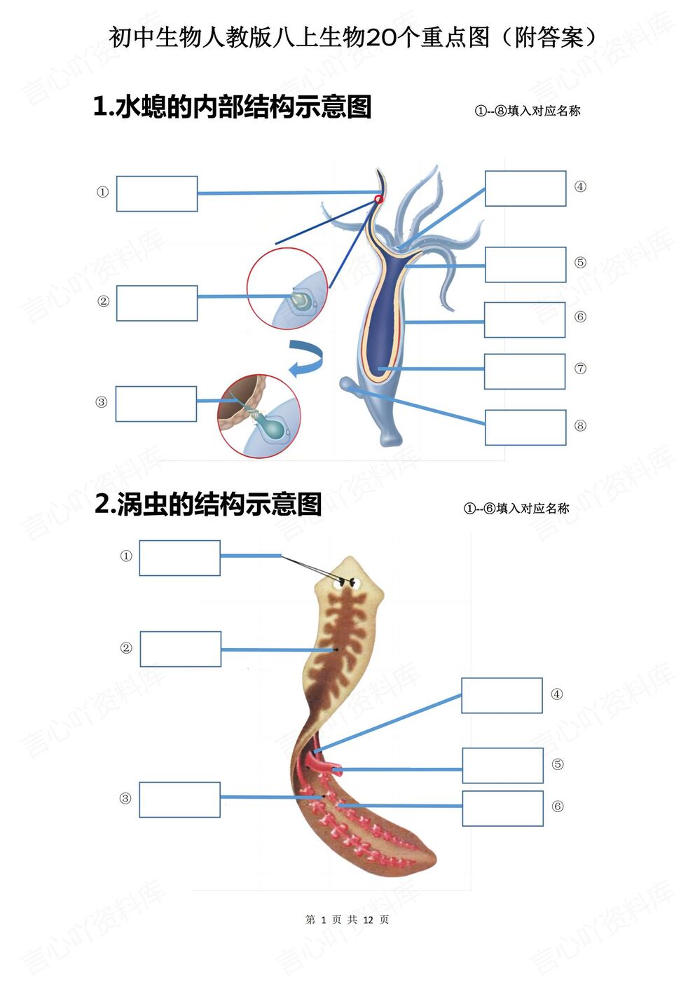 初中生物-八年级上人教版初二上册20个重点图例填空（全）-言心吖资料库