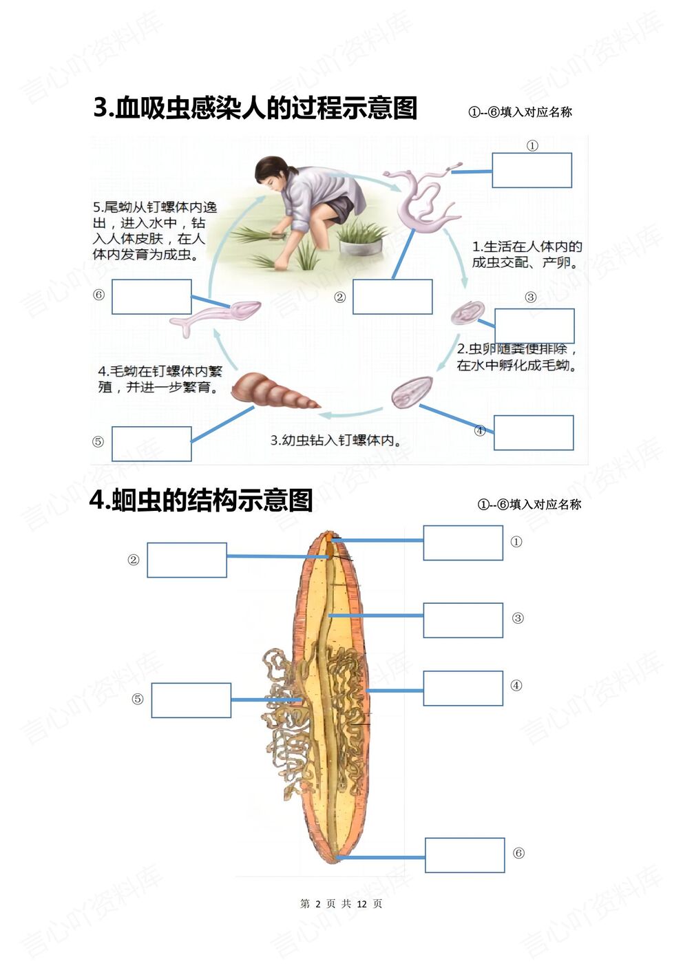初中生物-八年级上人教版初二上册20个重点图例填空（全）插图初中生物1