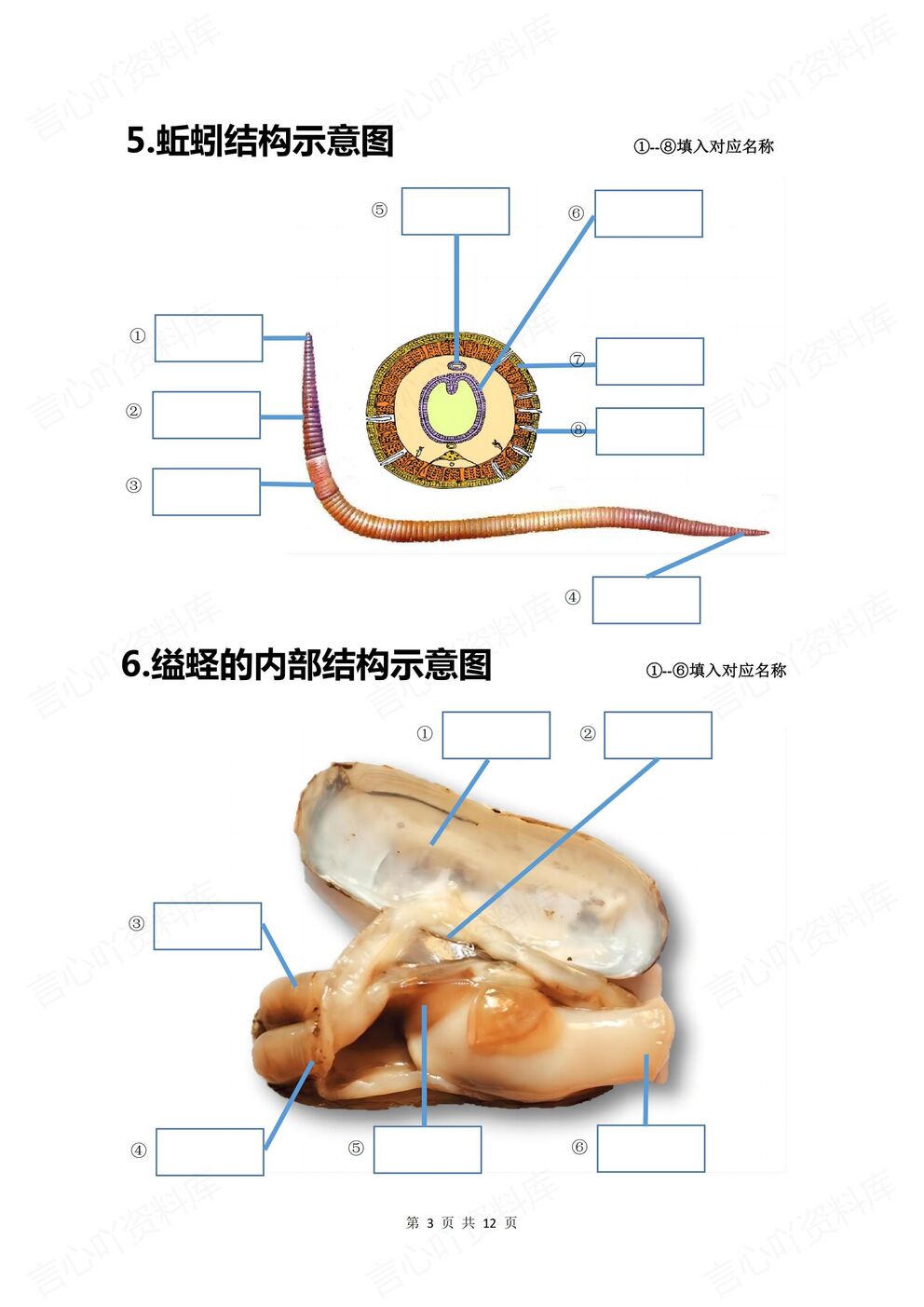 初中生物-八年级上人教版初二上册20个重点图例填空（全）插图初中生物2