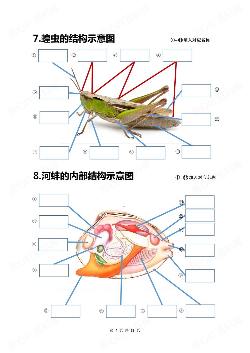 初中生物-八年级上人教版初二上册20个重点图例填空（全）插图初中生物3