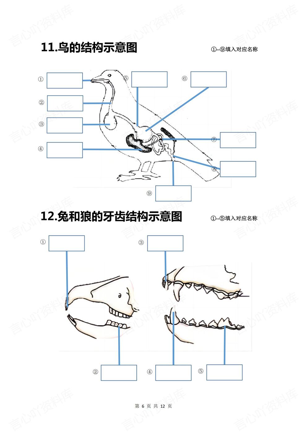 初中生物-八年级上人教版初二上册20个重点图例填空（全）插图初中生物5