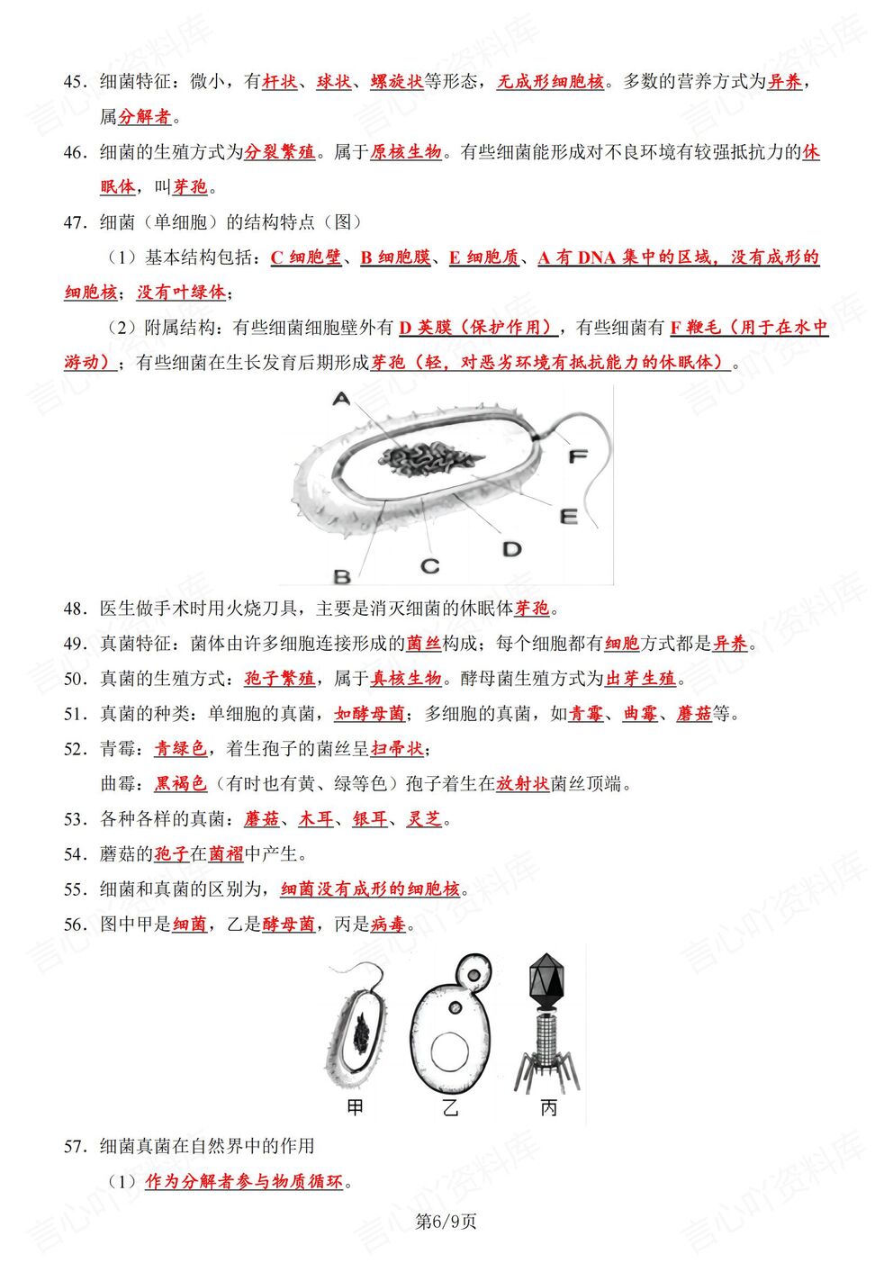初中生物-八年级上人教版初二上册89个必背知识精简提炼（全）插图初中生物5