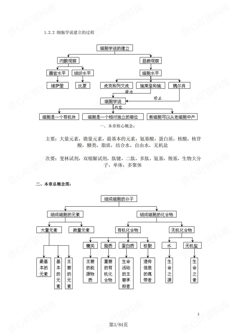 高中生物-二轮复习章节知识导图汇总高考生物复习插图高中生物2