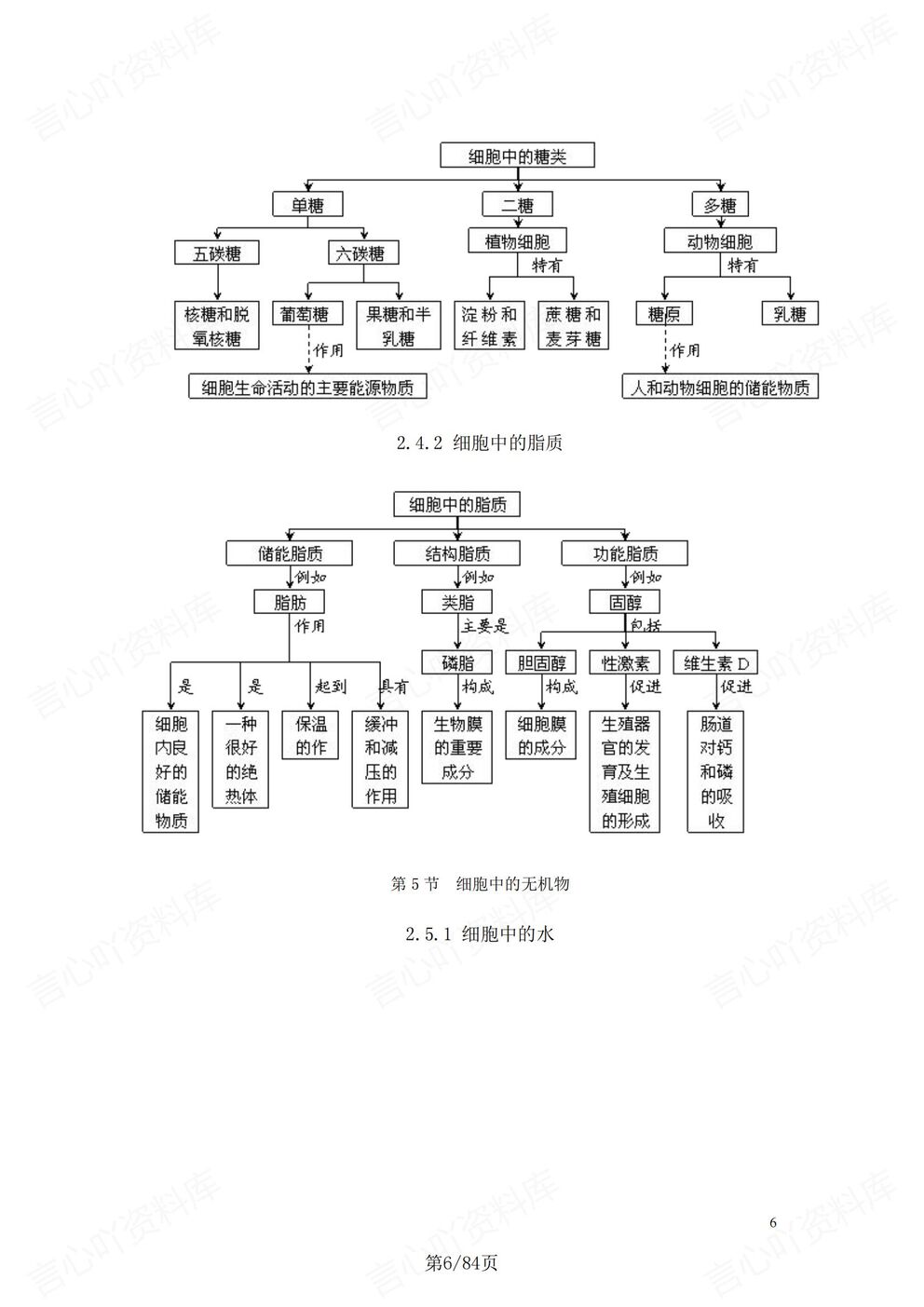 高中生物-二轮复习章节知识导图汇总高考生物复习插图高中生物5