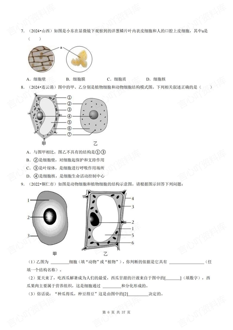 初中生物-七年级上新教材北师大初一上单元测试练习汇总含解析插图初中生物4