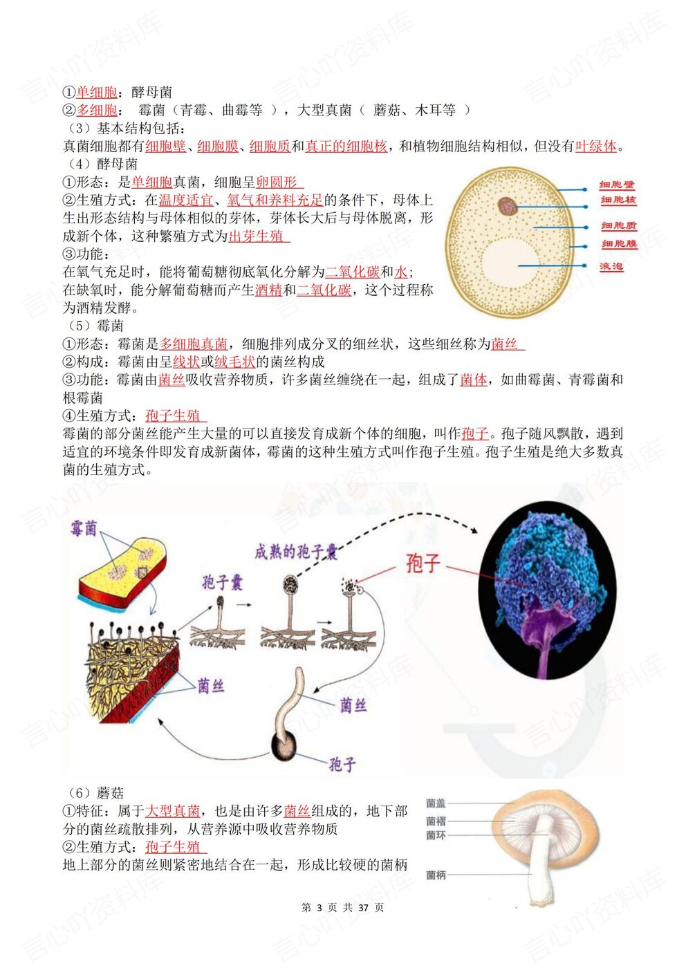 初中生物-八年级上新教材北师大初二上单元知识清单总结背诵/默写插图初中生物2