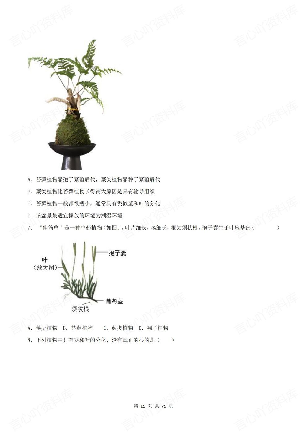 初中生物-七年级上新教材济南初一上册各单元知识测试练习含解析插图初中生物4
